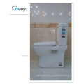 Tow Piece Toilet with Australian/American/EU Standard (CVT6002)